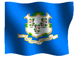 connecticut flag